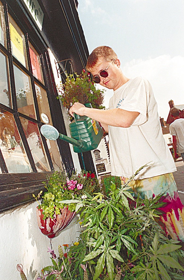 [IMG: Prize-winning pot plants]