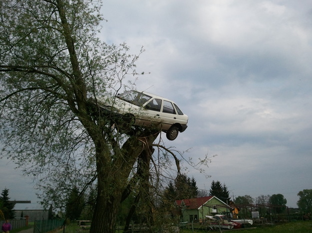 [IMG: Car in tree]