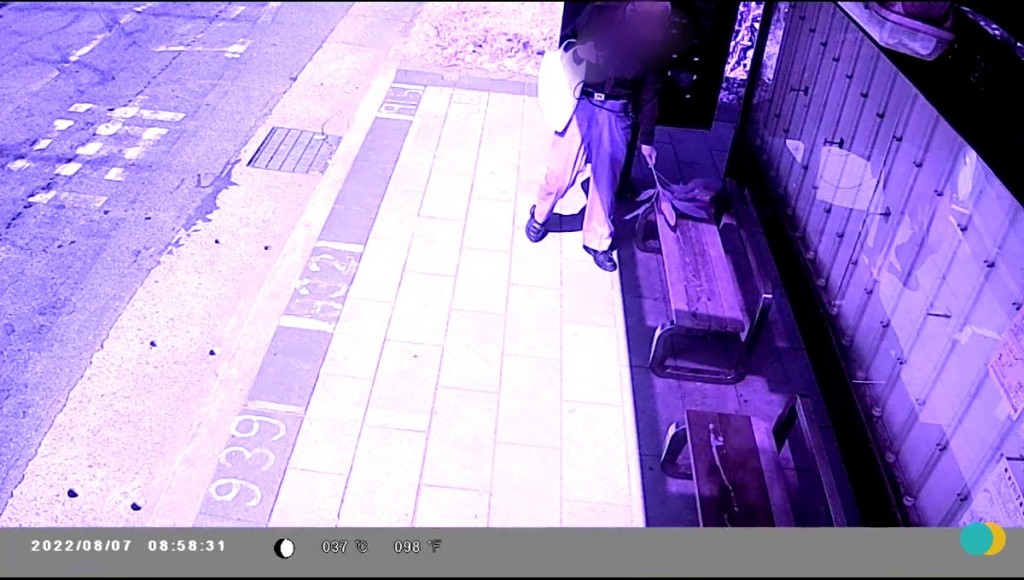 [IMG: CCTV image with bunch of leaves]