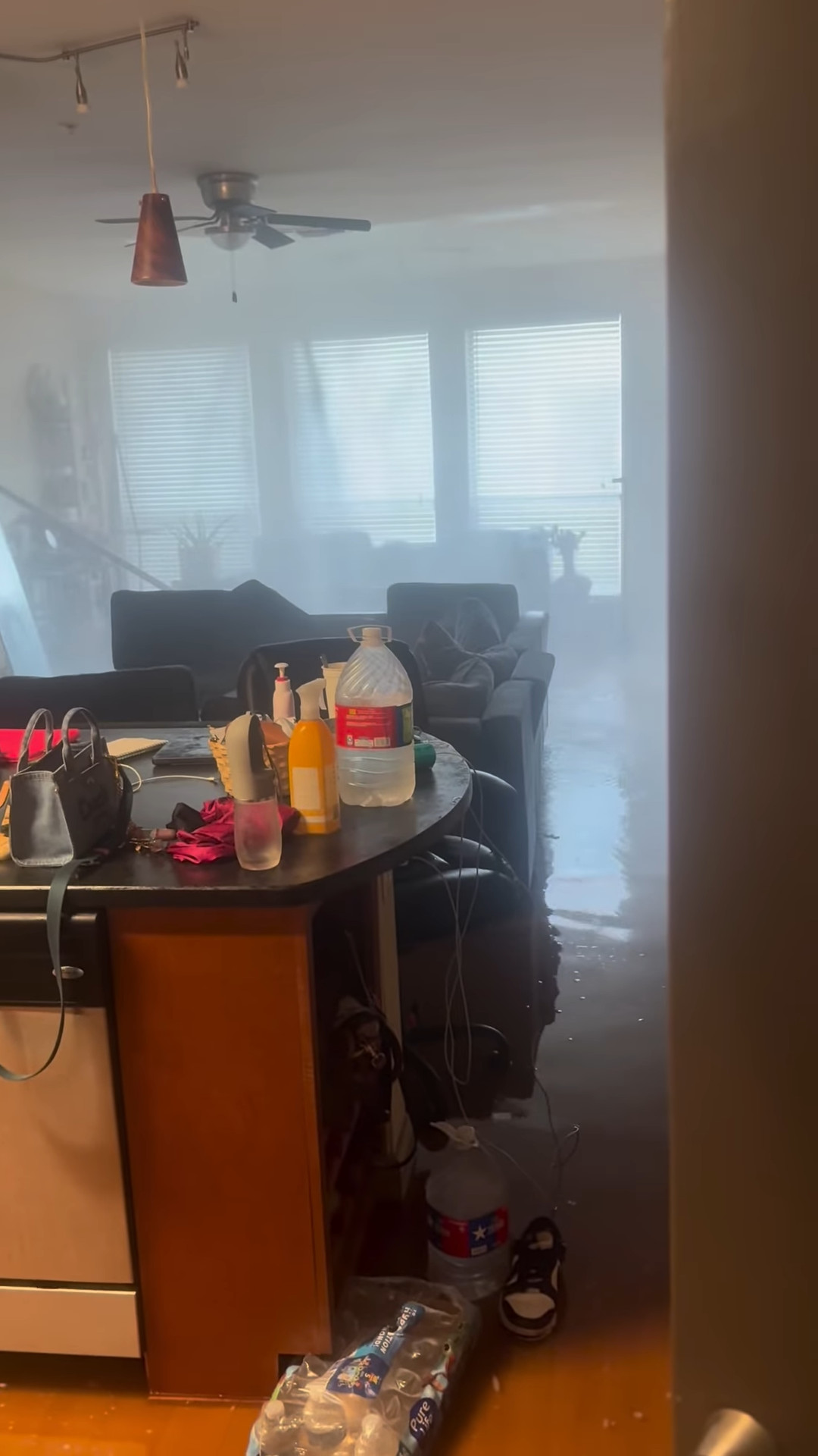 [IMG: the aftermath is clear]