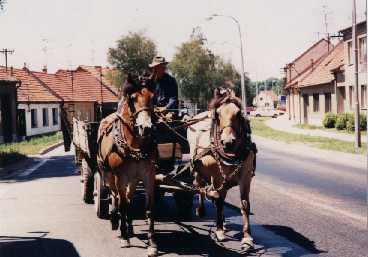 [IMG: cruising Main Street]